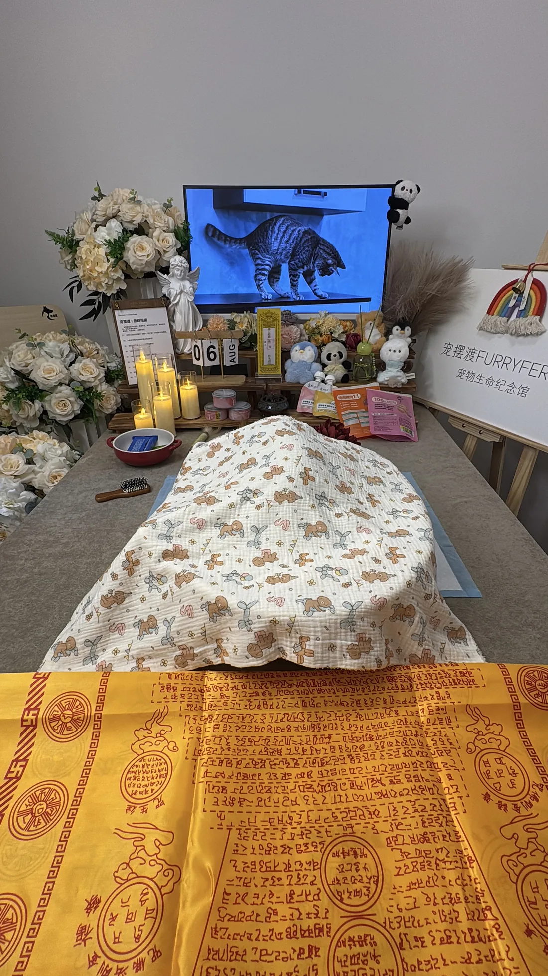 苏州宠物告别仪式中的鲜花与纪念照片